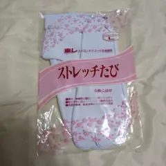 Item thumbnail for item 9200c81b-86af-473f-91fe-31238cdd60cc