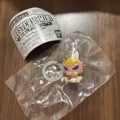 まるさん専用　　【店舗限定】HYSTERIC MINI めじるしアクセサリー