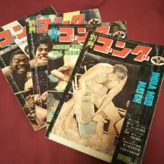 別冊 ゴング 75年3~4月号、10月号12月号 4冊セット。月刊ゴング