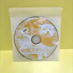 幼獣マメシバ　レンタル落ちDVD