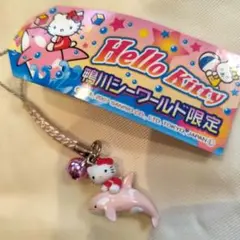 超レア⭐️水族館限定シャチに乗ったキティ根付⭐️2004年 2025年最新】ハローキティ鴨川シーワールド限定の人気アイテム