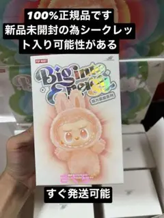 【正規品・未開封】Labubu Big into Energy 1箱