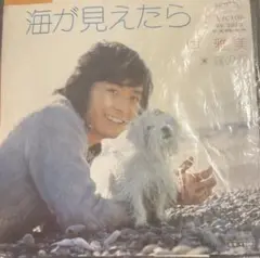 【EP】SV2320S 仲雅美 海が見えたら□プロモ盤