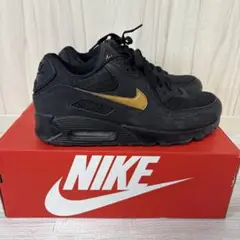 Nike Air Max 90 Essential 10