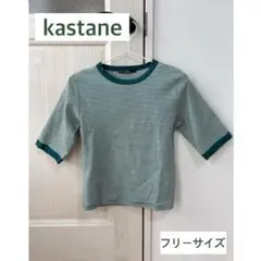 kastane テレコボーダーリンガーTEE グリーン