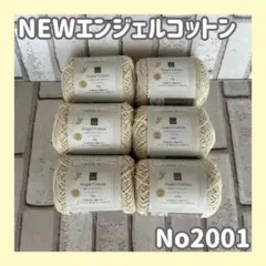 ☆NEWエンジェルコットン　No2001　6玉セット　　コットン100%