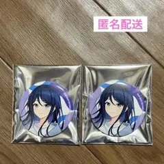 プロセカ サマーフェア2025 缶バッジ 星乃一歌 2個セット