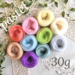 羊毛・パステル色・30ｇ【匿名配送】羊毛フェルト まとめ売り ハンドメイド