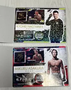 Item thumbnail for item ea8b29e3-5705-4ec9-bd05-d5c8a5d579d0