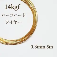 Item thumbnail for item e9024be0-364a-434b-93ad-1da7f3d28ea8