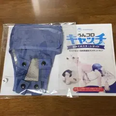 Item thumbnail for item b8e0f4f5-fbc2-4762-b585-c137bc099808