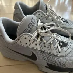 Item thumbnail for item 00d819af-7d90-4580-a8c0-9c984255a31a