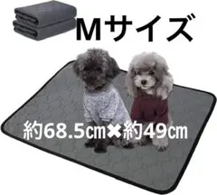 Veterinary Surgeryスモールアニマルサージェリー Veterinary Surgery: Small Animal Expert Consult: 2nd edition