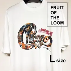 90s USA製 Tシャツ フルーツオブザルーム　メンズ Ｌサイズ 白 ホワイト