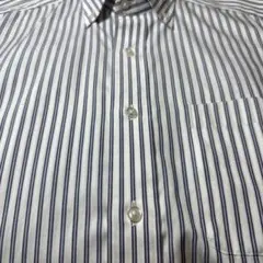Blue stripe button-down dress shirt