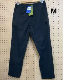 Item thumbnail for item c257ae69-f57e-4696-b81a-124378768117