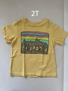 Patagonia イエロー Tシャツ 2T