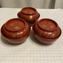 漆器】輪島塗 皿 5枚組 金蒔絵 天然木 漆塗 黒 野薔薇 葵