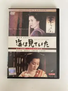 海は見ていた　DVD 清水美沙　遠野なぎこ　吉岡秀隆　 DVD