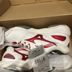 ✳️最終お値下げ✳️MizunoWaveSensation 24.0cm 新品未使用