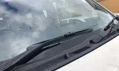 Item thumbnail for item fa0e2d63-18d0-4e5f-b0b4-526d39b02409