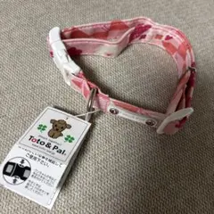 Toto & Pal ピンクの首輪 20mm