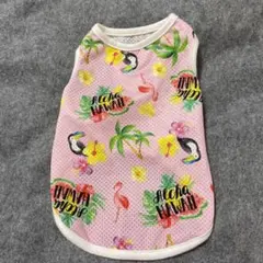 Item thumbnail for item 53cb9d01-c995-4342-bb62-c0b921cfa4b8