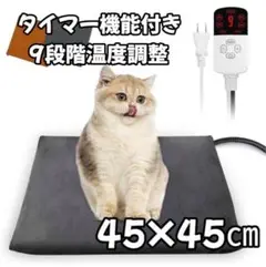 Item thumbnail for item f4a4fdb9-78b5-45f0-b156-d418328ad4ca