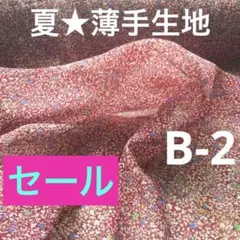薄手生地　布　夏素材　生地　ジョーゼット　ポリエステル　B-2