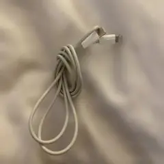 Apple純正　LightningケーブルType-C