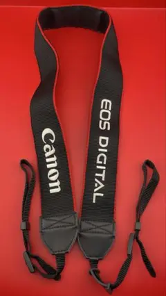 Item thumbnail for item 6cdd5923-dc17-4770-b697-6be353dec7c7