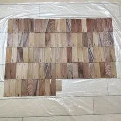 Item thumbnail for item 0b218a70-6965-40d6-99ca-9e1b30199df9