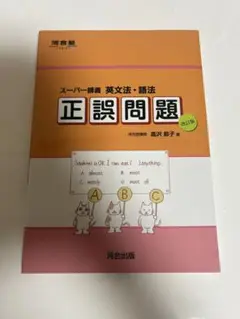 スーパー講義　英文法・語法　正誤問題 改訂版