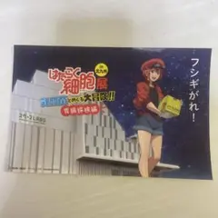 はたらく細胞展　in北九州　ステッカー