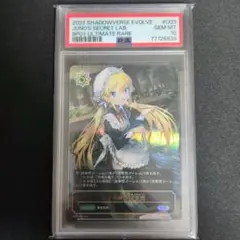 ノノの秘密研究室　UR　PSA10