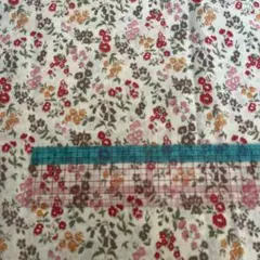 Item thumbnail for item ae6dcbd9-62c3-49f1-8883-3cda48898cd0