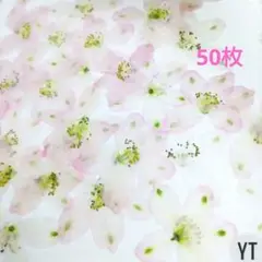 押し花素材　デルフィニウム　ピンク　花材