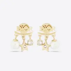 dior evolution ピアス 美品