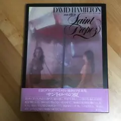 David Hamilton 写真集　図版　体位　構図　技術　芸術家 David Hamilton 写真集 図版 体位 構図 技術 芸術家