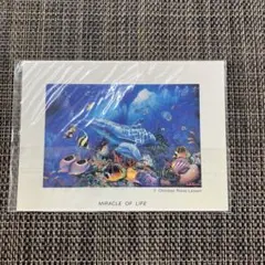 Item thumbnail for item e5bdfbe3-f1c6-4f36-896c-fc27fb4ce018