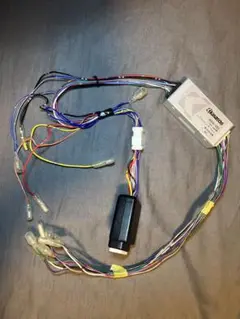 Item thumbnail for item bb5ca9f5-3f81-4a6f-b101-15df034a8e4c