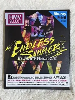 B'z LIVE-GYM Pleasure2013 ENDLESS SUMMER