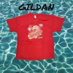 5030317(N-2) GILDAN ギルダン 半袖 Tシャツ