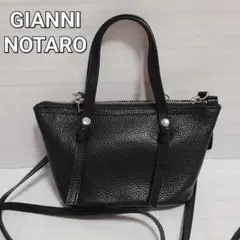 ジャンニノターロ ショルダーバッグ ミニ バック 鞄 ミニポシェット 黒
