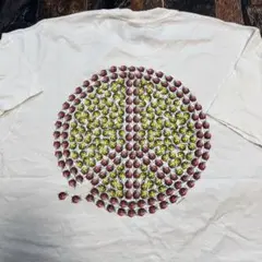 Human i Tees てんとう虫　ヒューマンアイティー　アートT アニマル