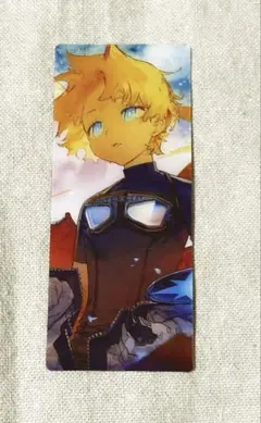 FGO 最終再臨展　カード　ボイジャー