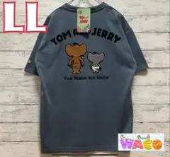 トムとジェリー　メンズ　サガラ刺繍　Tシャツ　半袖　タフィー　アニメ　LL