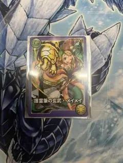 ガンホーツアー護霊筆の玄武・メイメイ 未使用