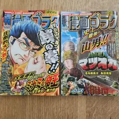 週刊漫画ゴラク 8/22.29号合併号 9/5号
