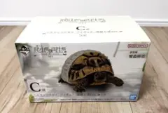 一番くじ 爬虫類&両生類 ヘルマンリクガメ